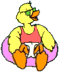 [Innertube duck]