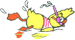 [swimming duck]